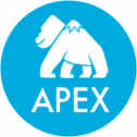 Apache Apex