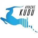 Apache Kudu