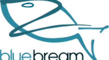 BlueBream