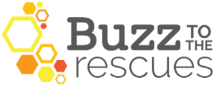 Buzz to the Rescues