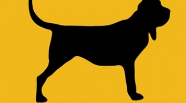 Cab Hound Taxicab Dispatching Solutions