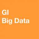 GI Big Data
