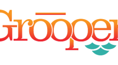 Grooper