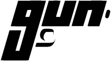 Gun