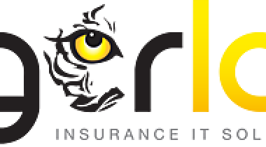 i2go Insurance Software as a Service (SaaS)