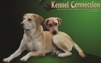 Kennel Connection