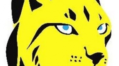 LEASSV Seismic Vectorising