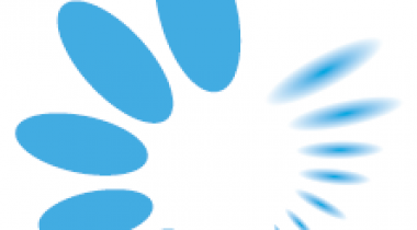 Software Automation Platform