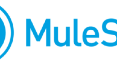 MuleSoft Anypoint Platform