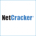 NetCracker Product Management