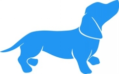 PlayPosit Interactive Video