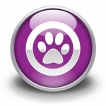 Precise Petcare