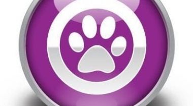 Precise Petcare