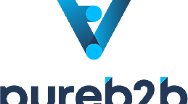 PureB2B
