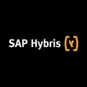 SAP Hybris Service