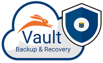 Vault Backup and Recovery for Salesforce