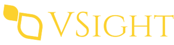 VSight Remote
